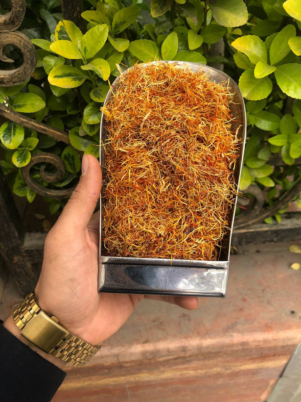 ریشه زعفران